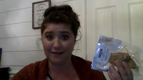 Brain Dissection Instructions Video