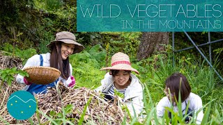 Wild Vegetable Picking, Inn Largo Nishi-Awa, Japan