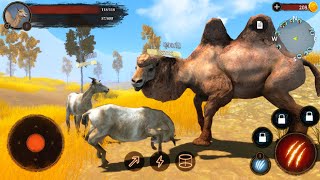 The Camel Android Gameplay / Animal Game Simulador screenshot 2