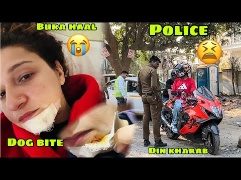 Sahiba Ko Dog Ne Kaat Liya Papa Ko Bhi Chot Lag Gayi Or Hayabusa Ko Final BYE Kar Diya