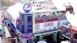 Pets Central西貢醫院 | Pets Central Sai Kung |  提供獸醫緊急服務 by Pets Central 59 views 7 months ago 13 seconds