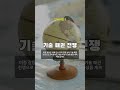 불확실성 속 반도체 핵심은 이것! #기업분석 #이슈 #경기전망 #반도체 #투자 #미중 #호투쌤 #주식