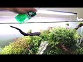 How to feed your planted tank with liquid fertiliser!