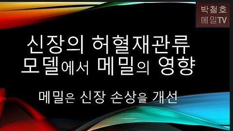 메밀의 신장 손상 개선 효과