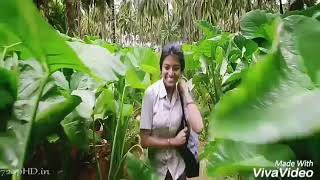 Yen Aala Paarkaporane Kayal