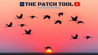 The Patch Tool | How It Works | Complete Photoshop Tutorial