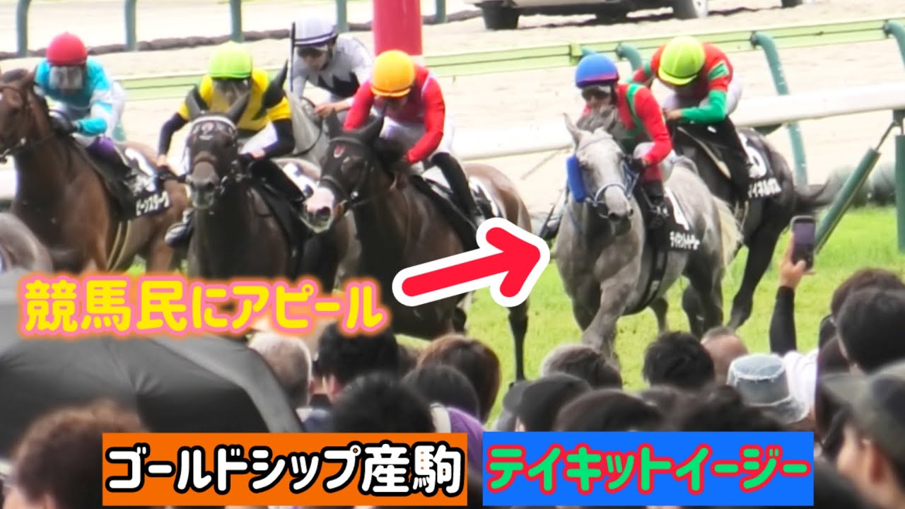 ゴールドシップ4点セット ゴールドシップ産駒】最後の直線を競馬民にアピールしながら上り最速で