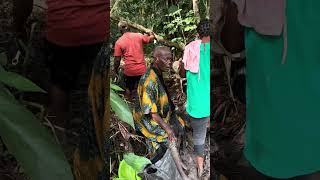 Today Is My First Day Of Witnessing The Owhe Lake Here In Ozoro Delta State isoko