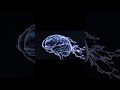 Increase IQ | Sharp Mind Subliminal #shorts