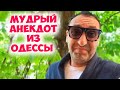 Соня, хочешь бесплатный жизненный совет? Мудрые анекдоты из Одессы! Анекдот по поводу!