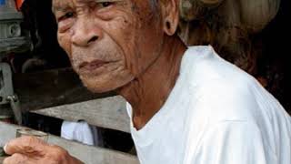 Punan Bah | Wikipedia audio article