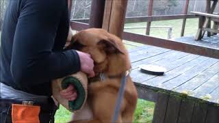 Pearl Harbor Du Feu De Wotan, 15 Mois