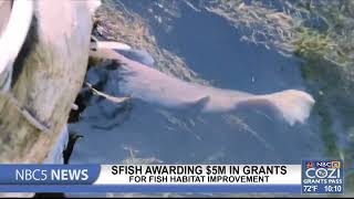 SFISH awarding over $5M to 20 projects addressing fish passage