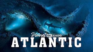 What Secrets Lurk Beneath the Atlantic Ocean’s Darkest Depths? | 4K Ultra HD