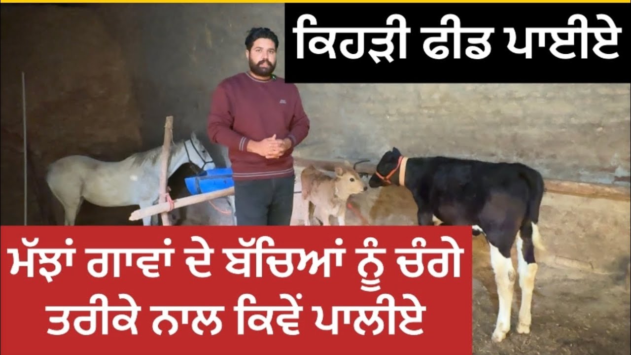 ਬੱਚਿਆਂ ਦੀ ਸਾਭ ਸੰਭਾਲ ਕਿਵੇ ਕਰੀਏ