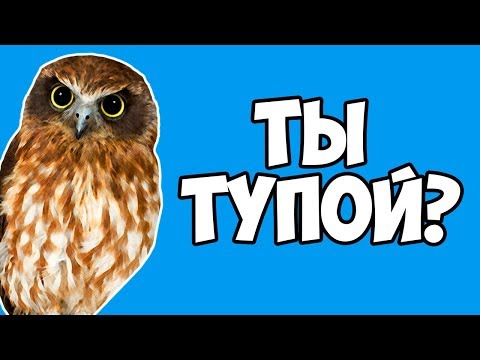 ТЕСТ НА ИНТЕЛЛЕКТ | ТЫ ТУПОЙ ИЛИ ГЕНИЙ ? | ПРОВЕРЬ НАСКОЛЬКО ТЫ УМНЫЙ | Тест для проверки IQ