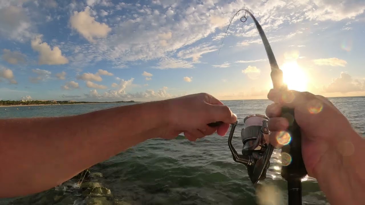 Yamaga Blanks Early For Mobile 96MMH / Shimano Stella C5000XG