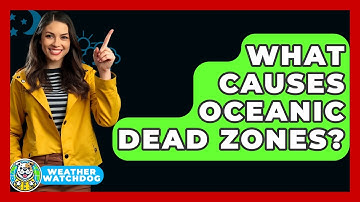 What Causes Oceanic Dead Zones? - Weather Watchdog