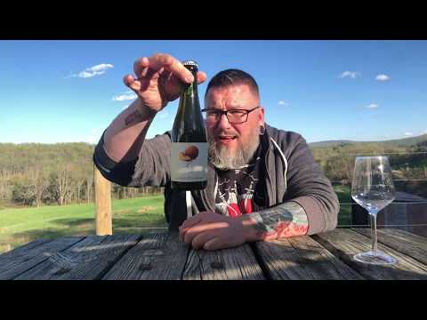 Massive Beer Review 2121 Side Project Brewing Fuzzy Foudre Aged Missouri Wild Ale W/ Peach’s