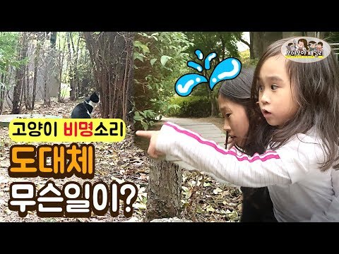 <strong>고양이알러지</strong> 심한 유나 구조작전  cat rescue | 모야모야패밀리 moyamoyafamily