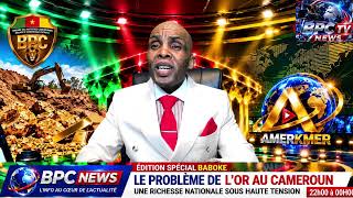 LA BRIGADE DES PATRIOTES CAMEROUNAIS13