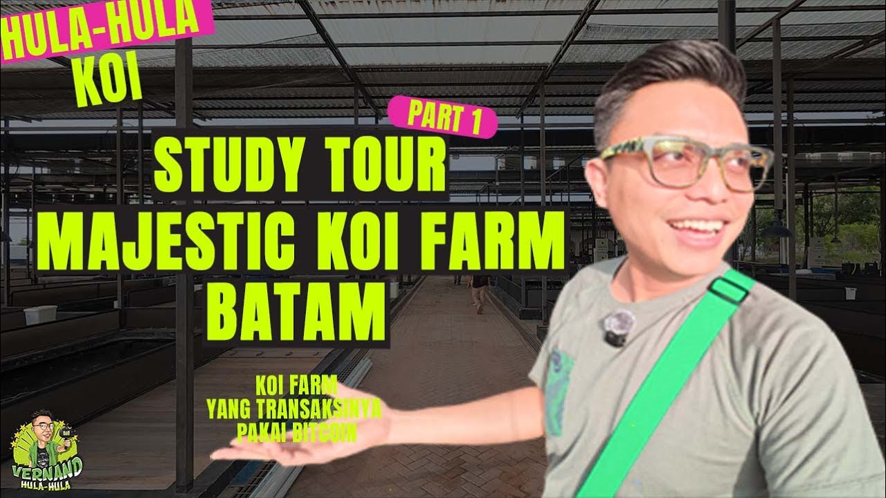 STUDY TOUR KE FARM TERBESAR DI INDONESIA MAJESTIC KOI FARM | PART 1