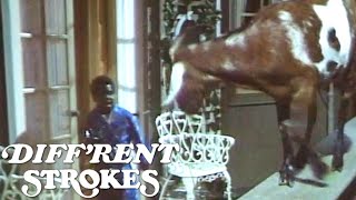 Diff'rent Strokes | What's A Goat Doing In The Drummonds' Apartment?! | Classic TV Rewind