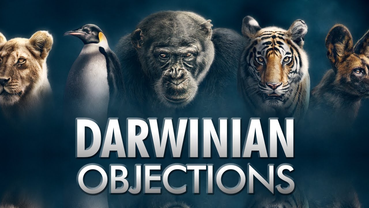 Answering ALL Darwinian objections!