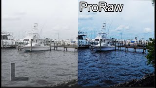 Apple ProRaw Feature on the iPhone 12 Pro And 12 Pro max | How I Use And Edit Picture on the Go