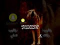ياذيب ليش تجاذب الصوت ياذيب ياذيب ليش تجاذب الصوت ياذيب
