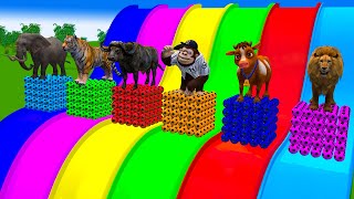 Long Slide Game With Elephant Gorilla Buffalo Hippopotamus Tiger 3d Animal Game Funny 3d Animals screenshot 5