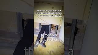 I can't believe they found this under a mall!