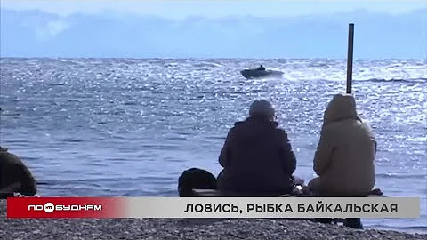Запрет на вылов омуля снимут для рыбаков-любителей