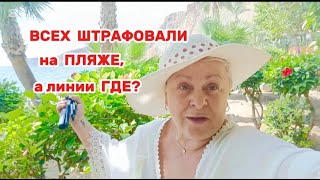 видео: ВЫ ВИДЕЛИ ЦЕНЫ в МЕРКАДОНЕ?? 🇪🇦 🤧- ХОЧЕТСЯ ПЛАКАТЬ, ОНИ ХОТЯТ нас ПОСЛАТЬ по МИРУ с ПРОТЯНУТОЙ РУКОЙ картинка: ВЫ ВИДЕЛИ ЦЕНЫ в МЕРКАДОНЕ?? 🇪🇦 🤧- ХОЧЕТСЯ ПЛАКАТЬ, ОНИ ХОТЯТ нас ПОСЛАТЬ по МИРУ с ПРОТЯНУТОЙ РУКОЙ