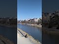 京都鴨川 冬の晴れ間 #shorts kyoto kamogawa japan
