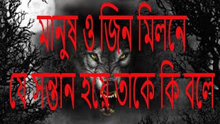 মানুষ ও জিন মিলনে যে সন্তান হয়ে তাকে কি বলে amol/আমল/sopno/সপ্ন ইসলামিক/islamic video