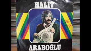 Halit Araboğlu.. bir bakışta esirin oldum Resimi