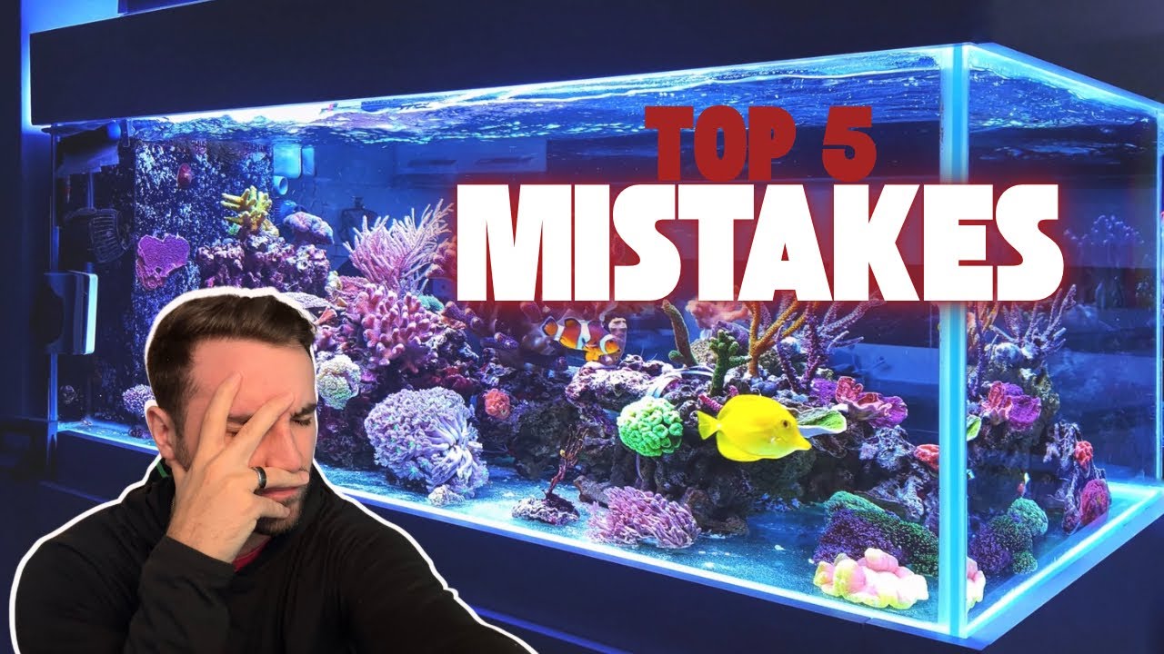 Avoid These 5 Common Saltwater Aquarium Mistakes - YouTube