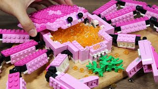 I Caught a Strange PINK King Crab, but it's LEGO in real life!!