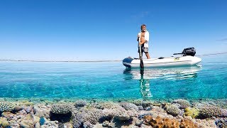 Ep 165 | Exploring Minerva Reef, a Beautiful Coral Atoll in the South Pacific, Sailing Nutshell