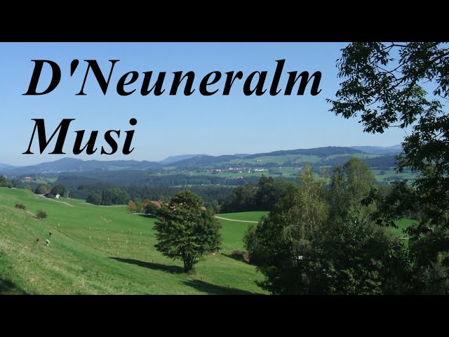 D Neuneralm Musi - Mir san guat drauf