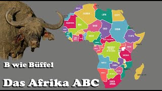 Afrika ABC, B wie Büffel HD