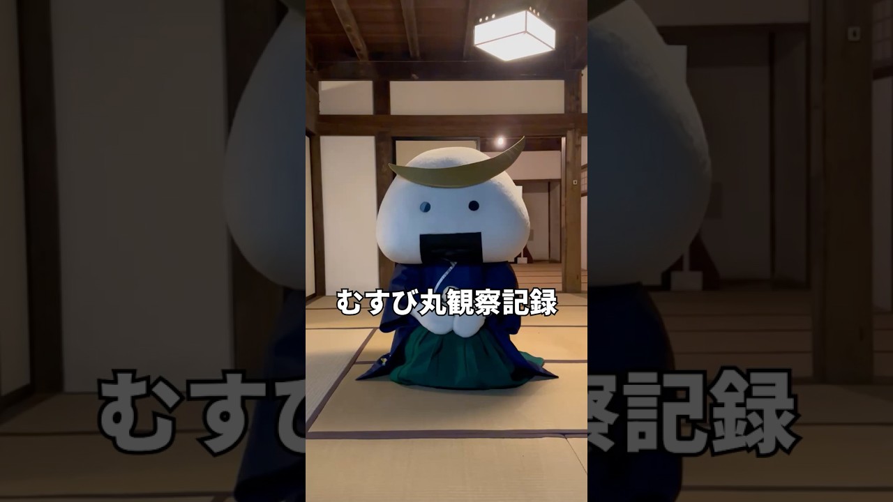 むすび丸観察記録 - YouTube