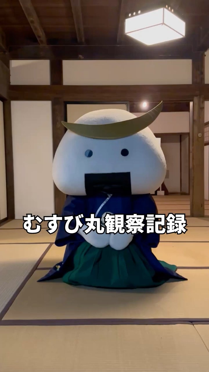 むすび丸 むすび丸観察記録 - YouTube