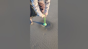 Stop Breaking Clams; Do This Instead!