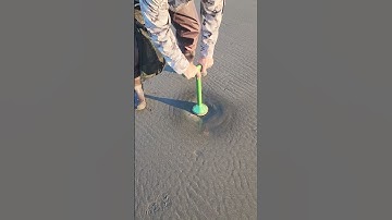 Stop Breaking Clams; Do This Instead!