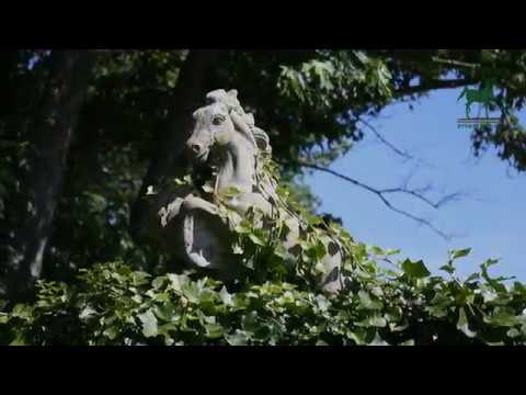 2450 Long Valley Rd, Lexington, KY home video tour