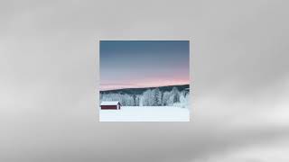 Microchip (slowed)