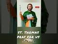 St. Thomas Pray For Us 🙏 #stthomas #devotional #stthomasprays #stthomassong #christian #shorts #yt