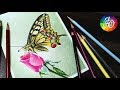 КАК НАРИСОВАТЬ БАБОЧКУ цветными карандашами (timelapse) Drawing butterfly with colored pencils